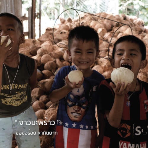 ชีวิตวัยเด็ก-05-500x500-1