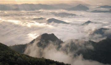 เงื่อนไขการคืนเงินและการคืนสินค้า