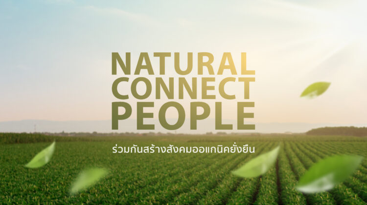 Natural Connect People