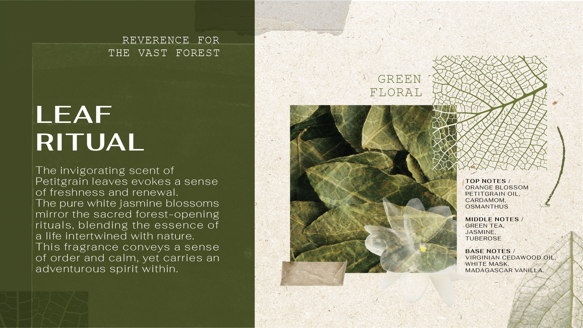 1_Forest Perfum sos blog_Leaf Ritual_thai