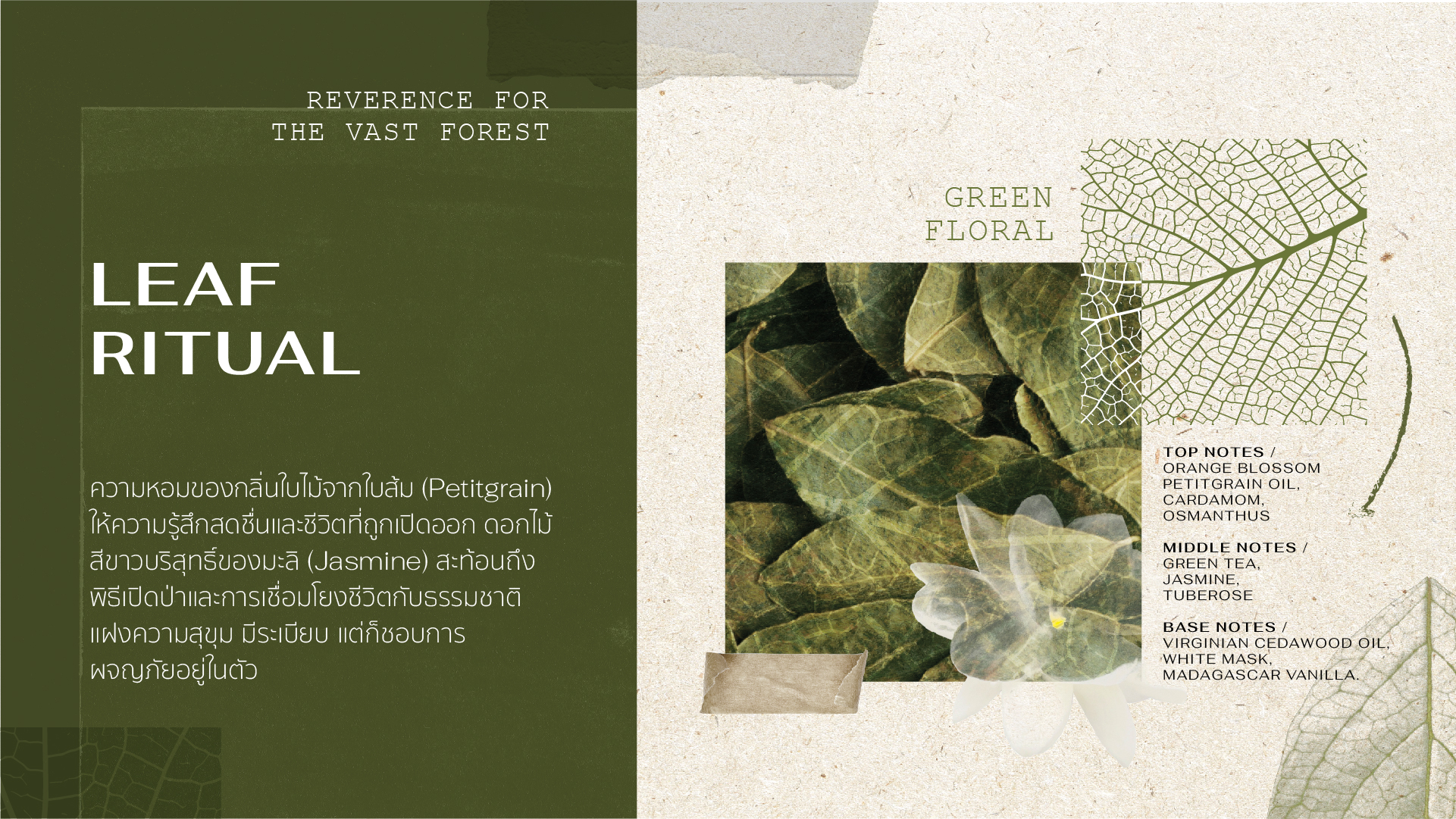 1_Forest Perfum sos blog_Leaf Ritual_thai