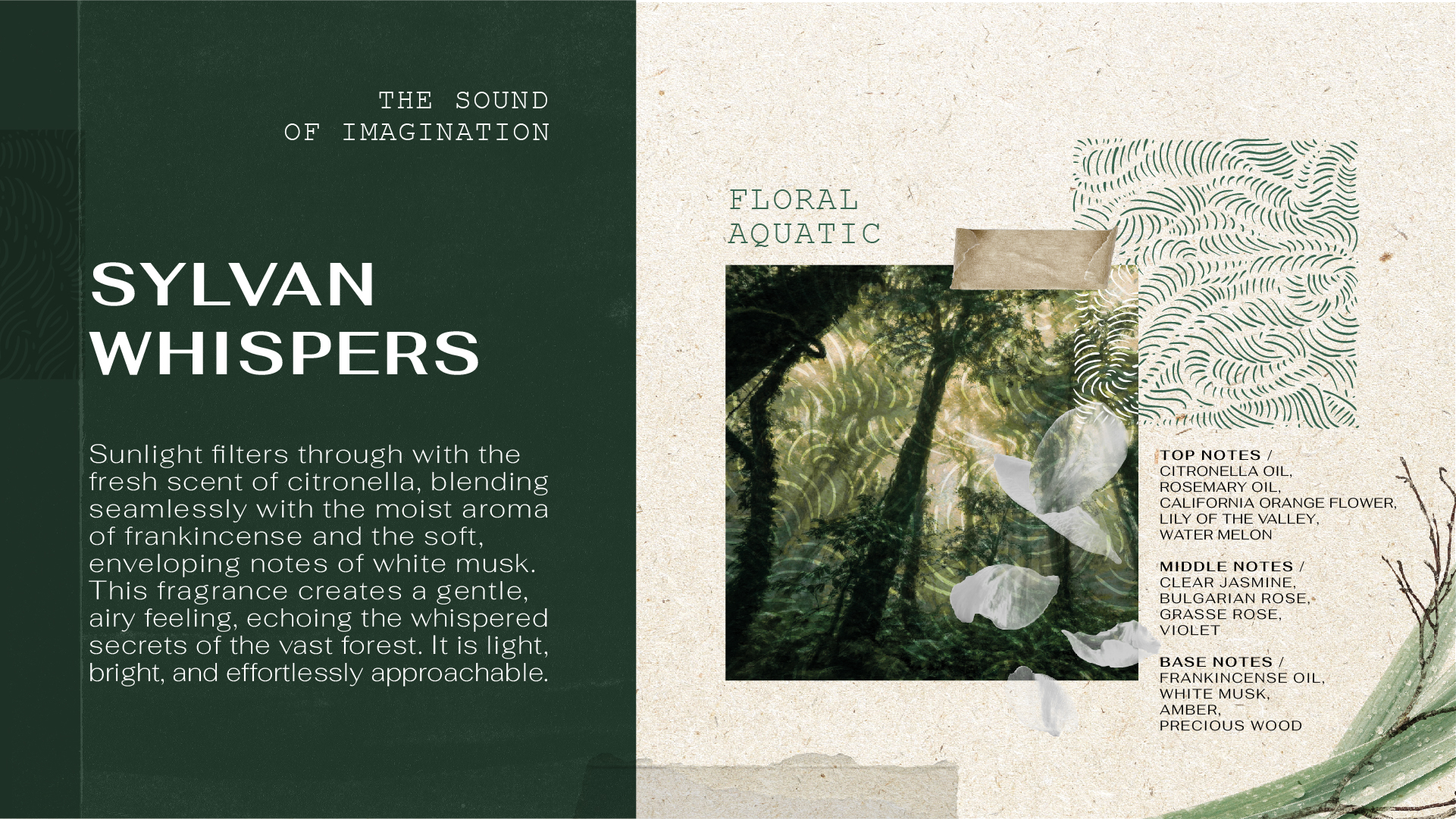 3_Forest Perfum sos blog_Sylvan-Whispers_thai