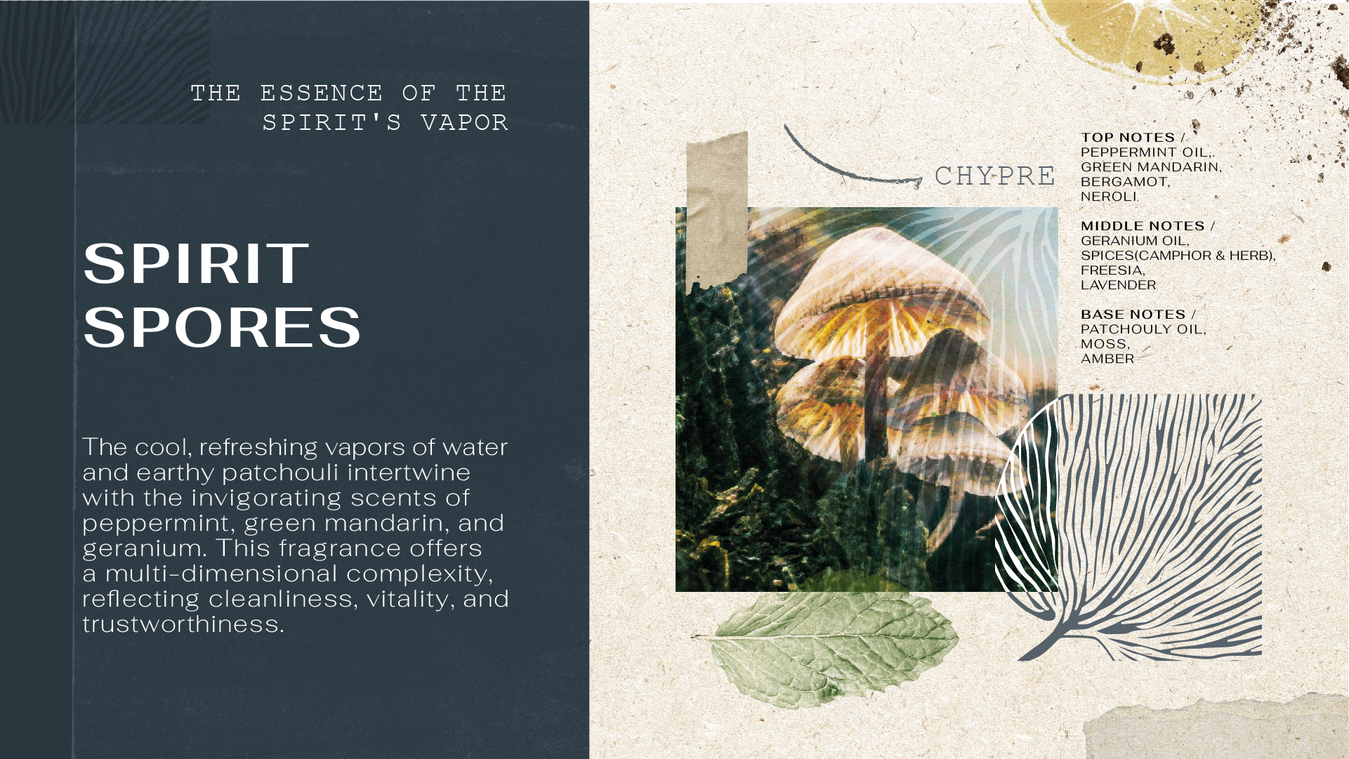 4_Forest Perfum sos blog_SPIRIT-SPORES_thai