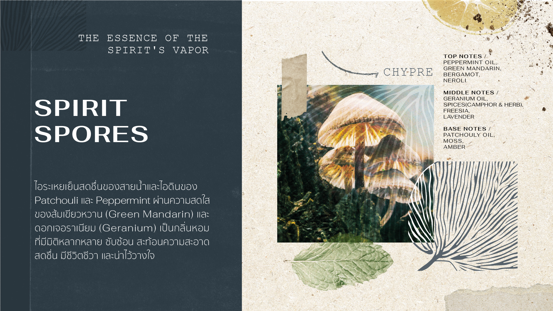 4_Forest Perfum sos blog_SPIRIT-SPORES_thai