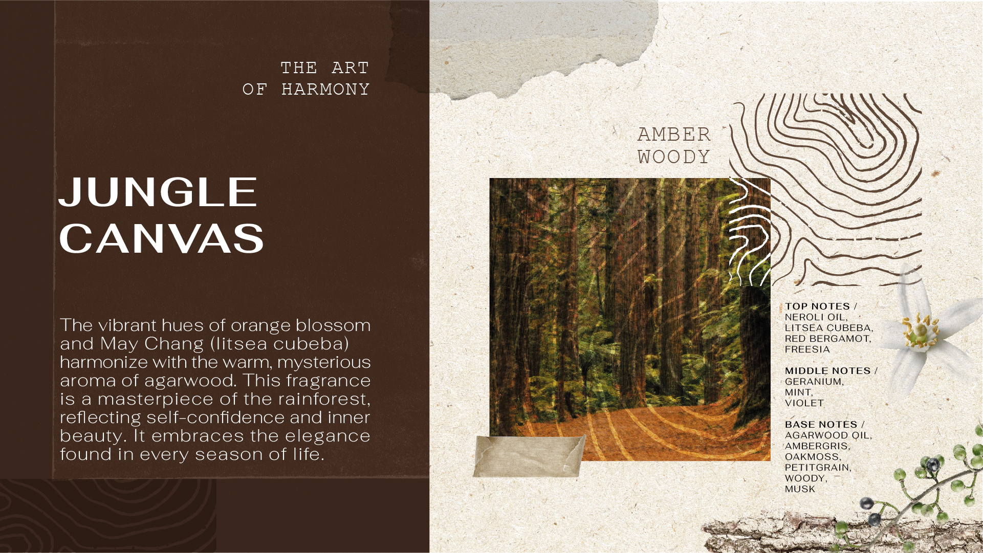 5_Forest Perfum sos blog_JUNGLE-CANVAS_thai