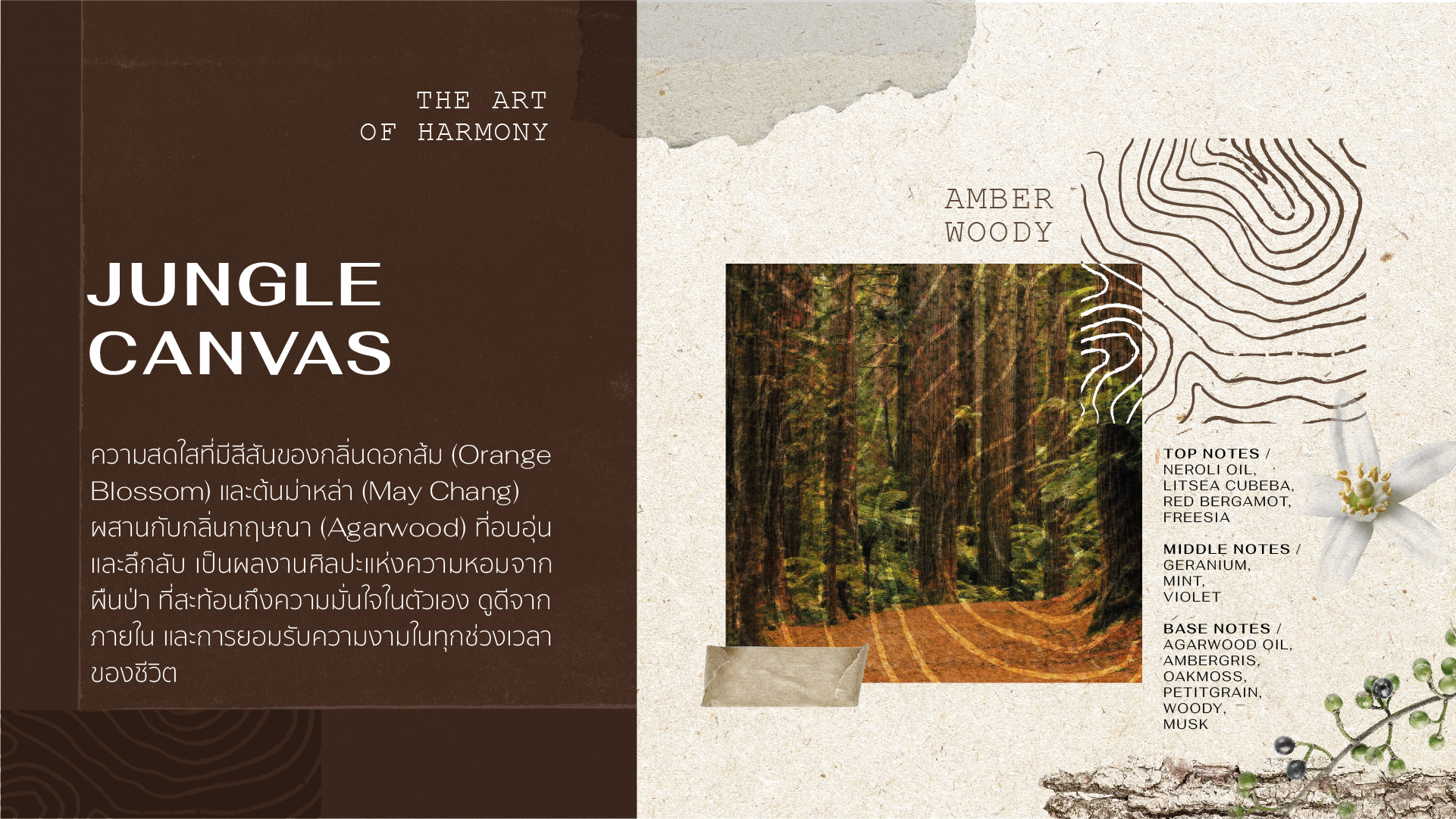 5_Forest Perfum sos blog_JUNGLE-CANVAS_thai