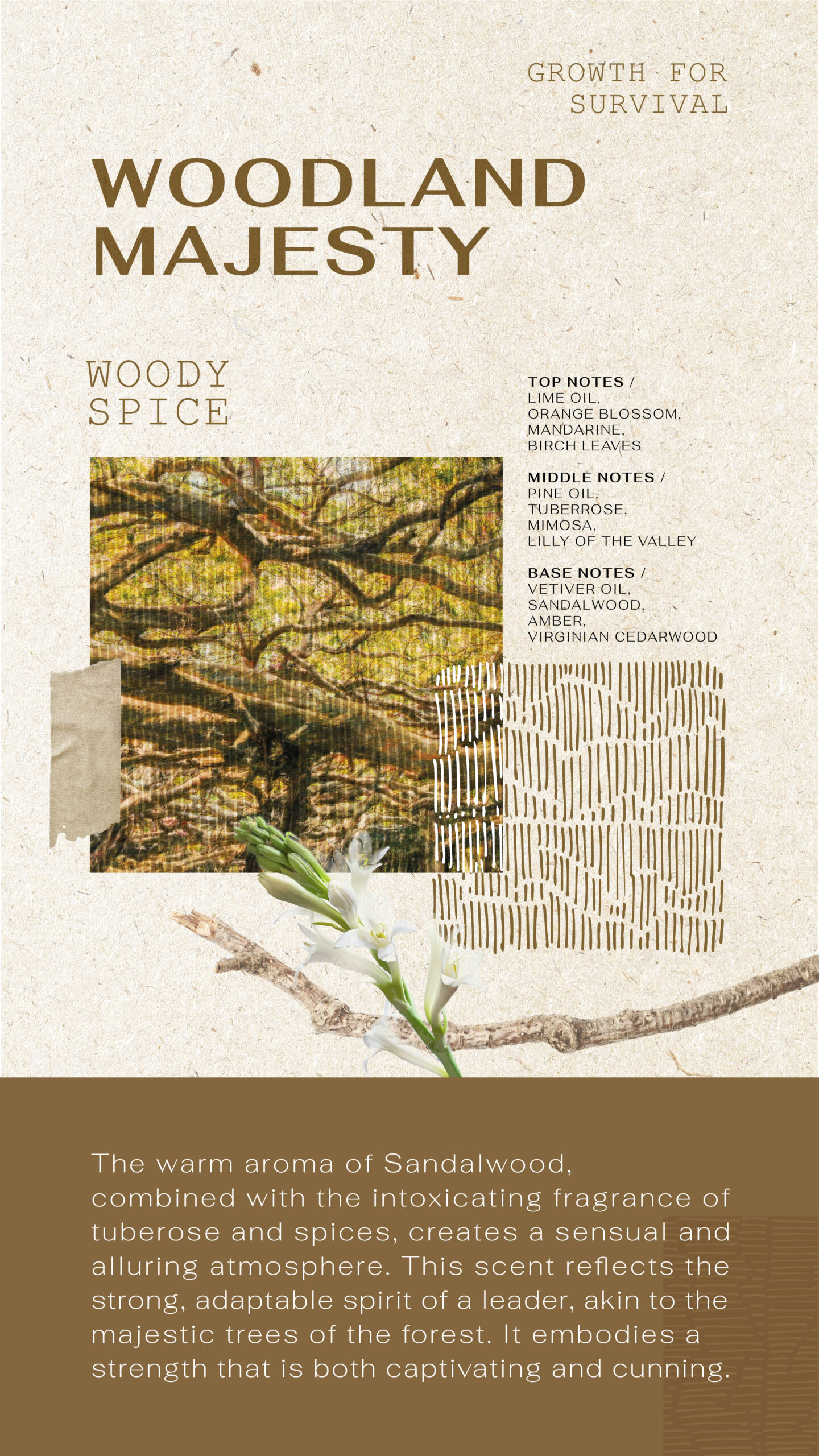 Forest Perfum sos blog-DV_02 copy