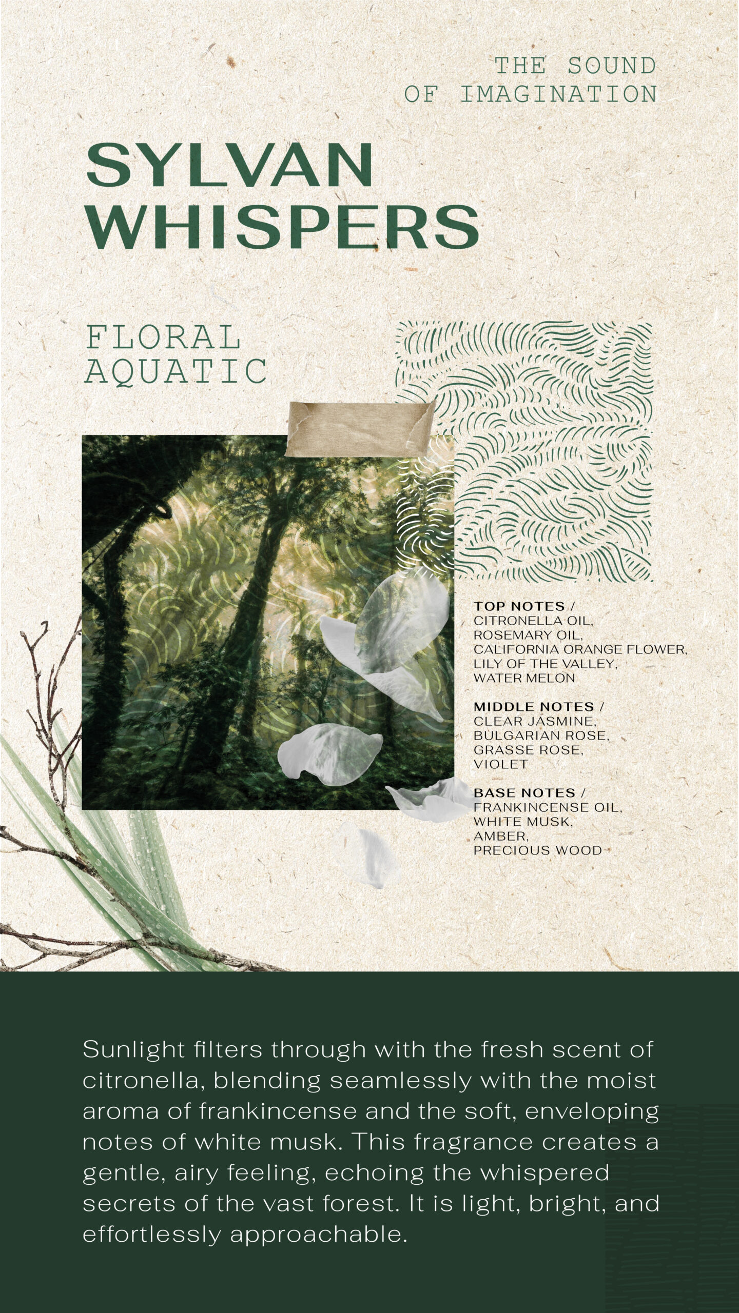 Forest Perfum sos blog-DV_03 copy