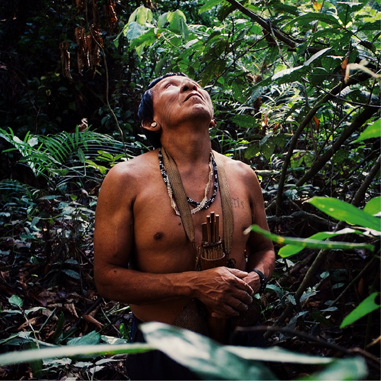 forest-parfum_people-forest