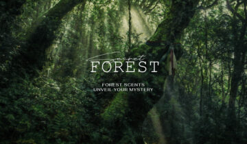 Forest Scents Unveil Your Mystery