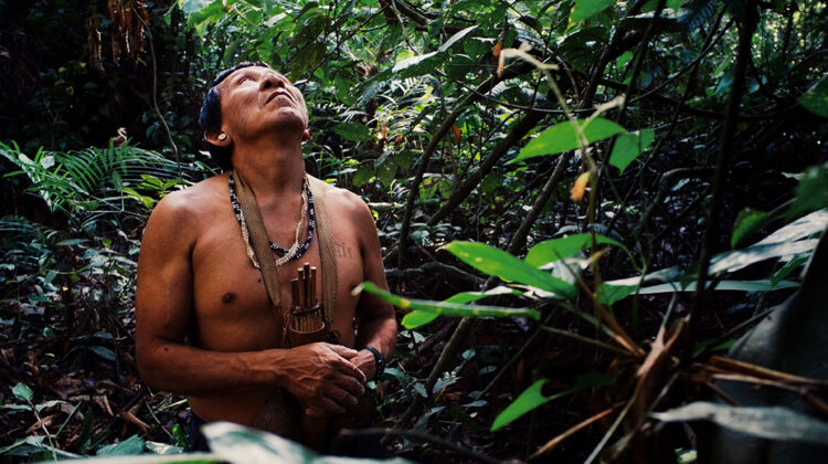 Secret Forest – The Explorer