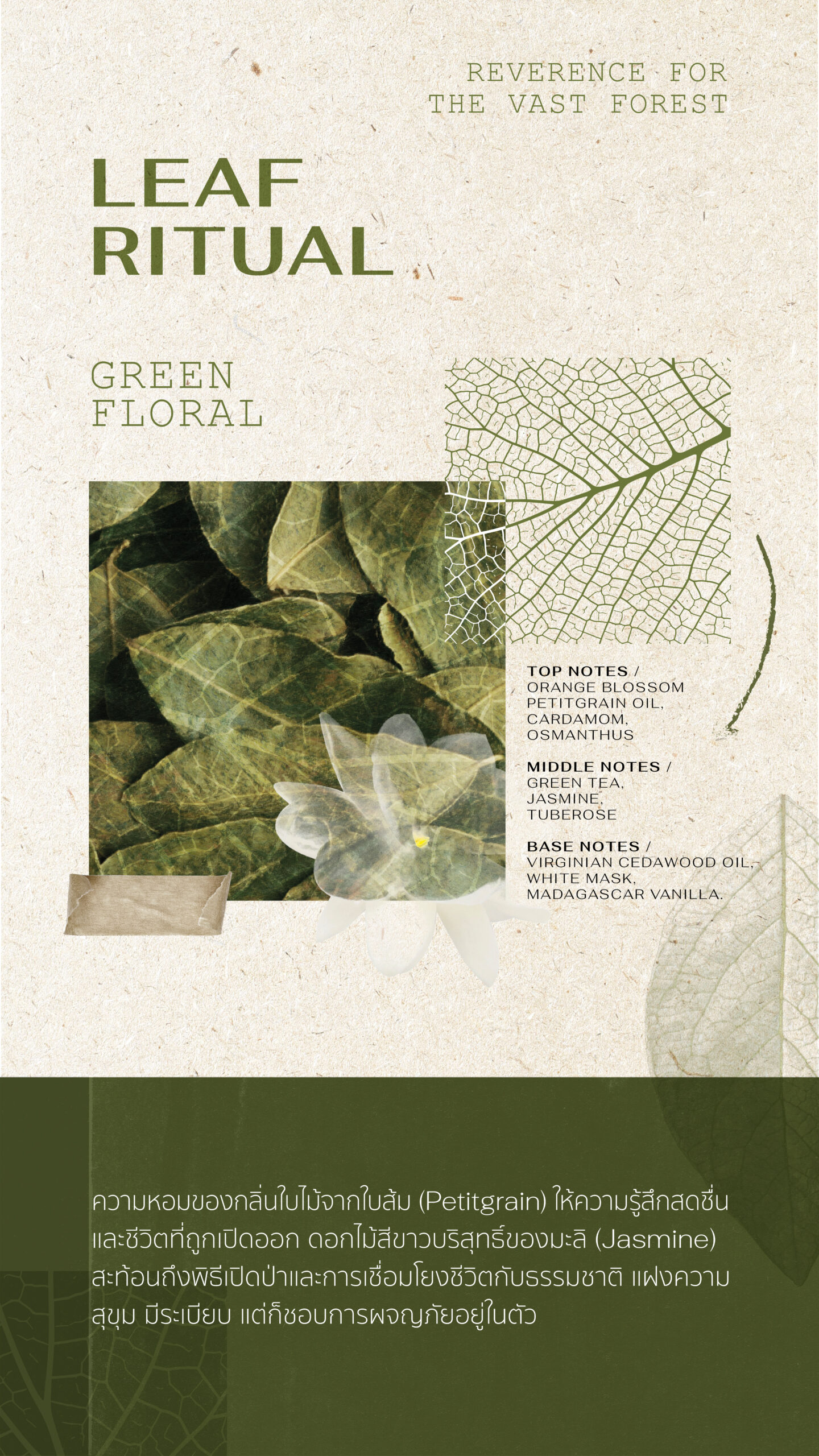 Forest Perfum sos blog-DV_01 copy