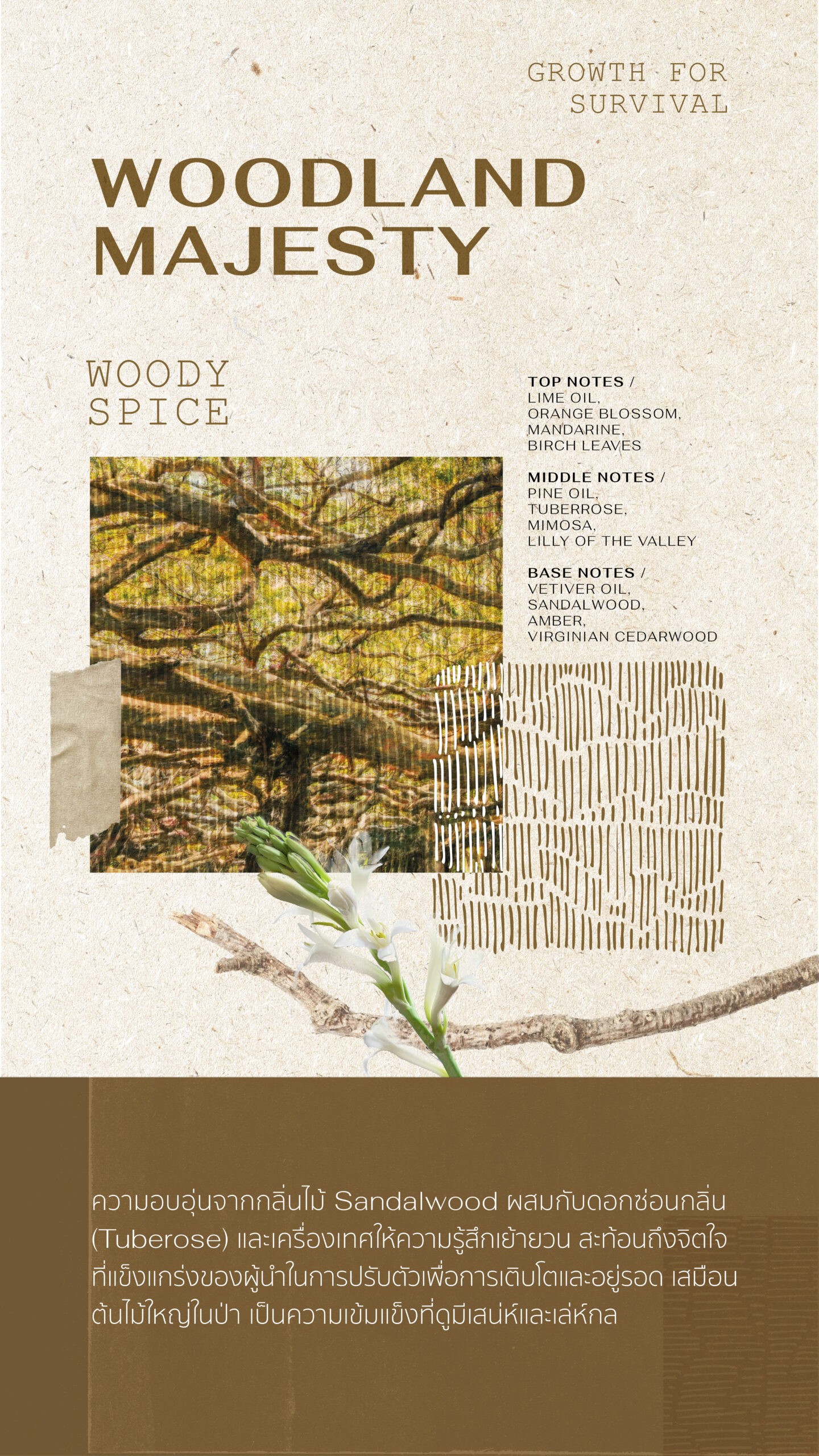 Forest Perfum sos blog-DV_02 copy