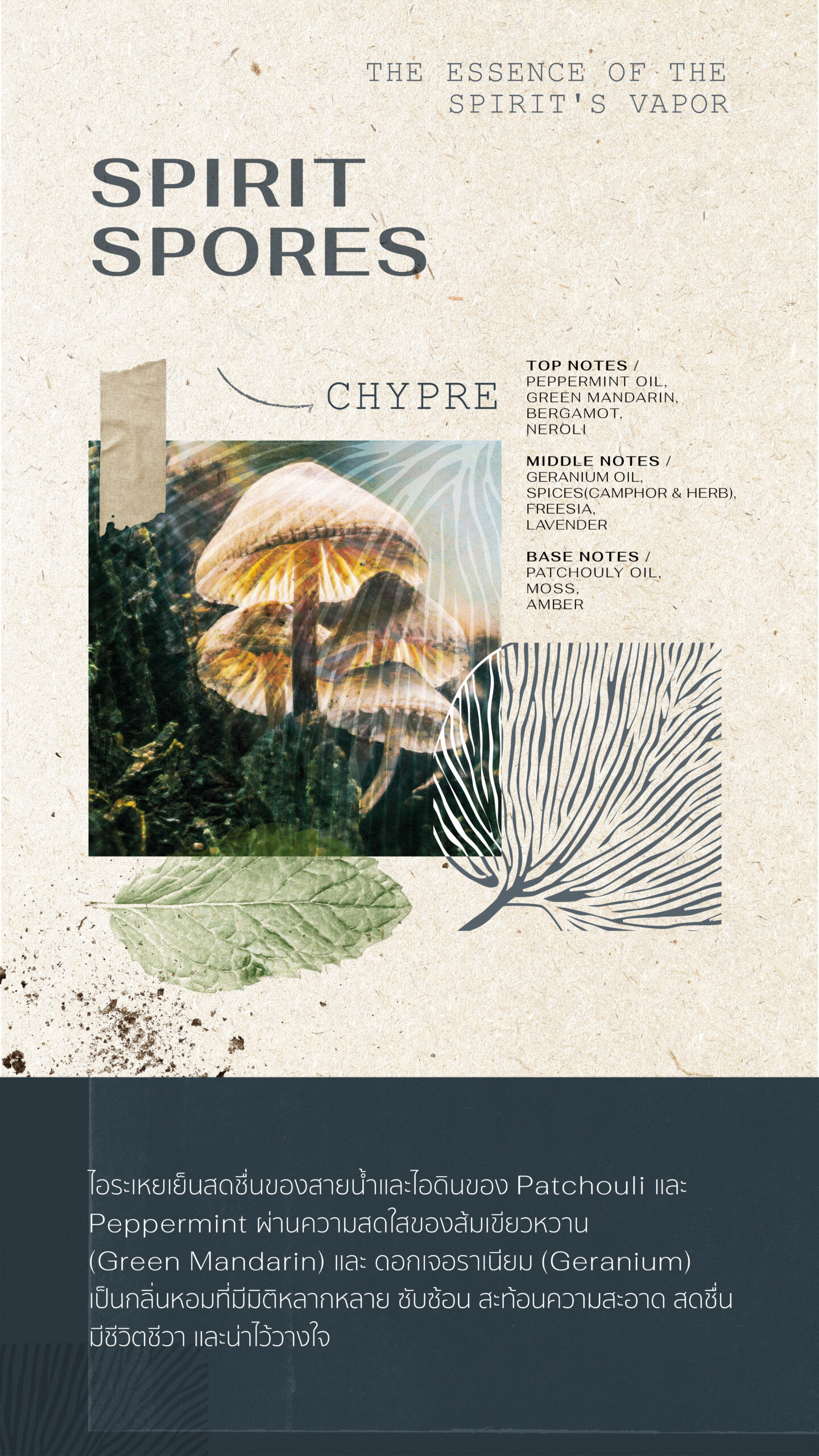 Forest Perfum sos blog-DV_04 copy