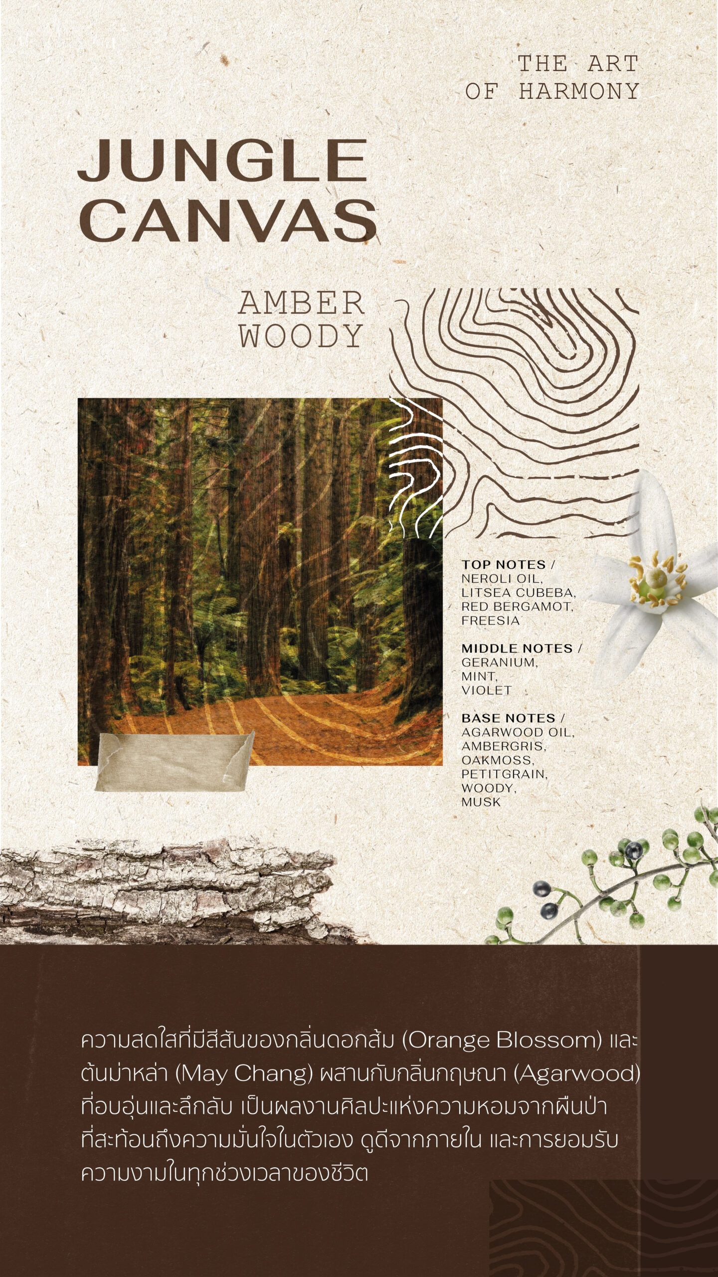 Forest Perfum sos blog-DV_05 copy