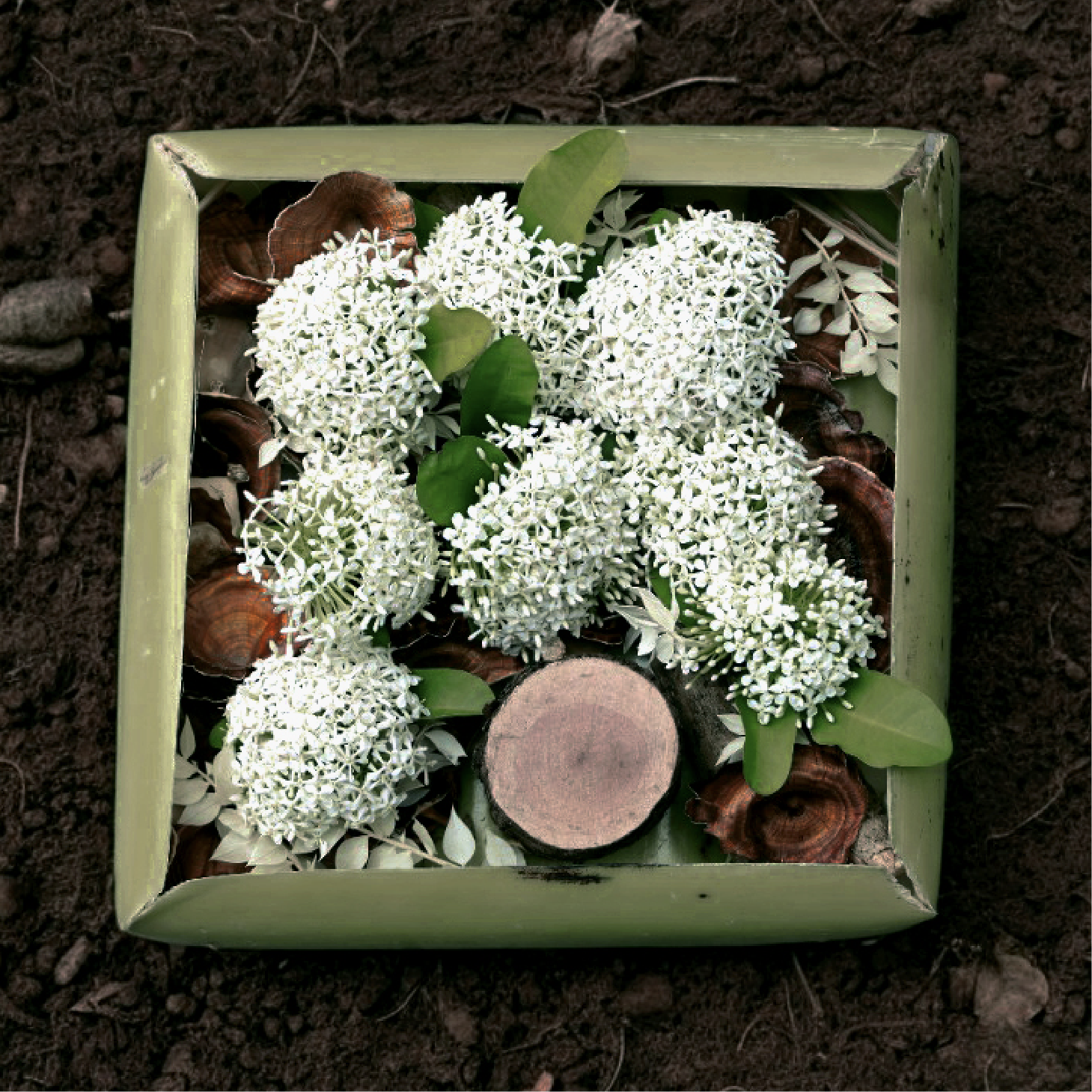 forest-parfum_flower