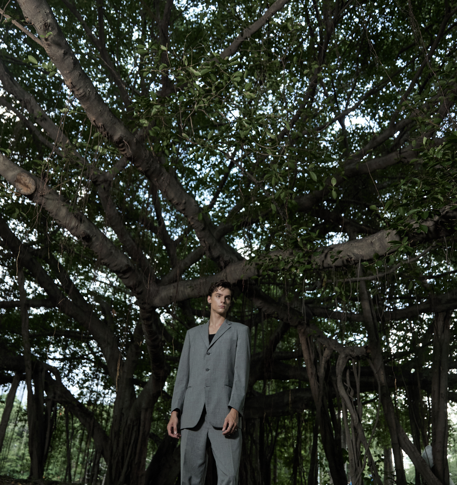 forest-parfum_woodland-model