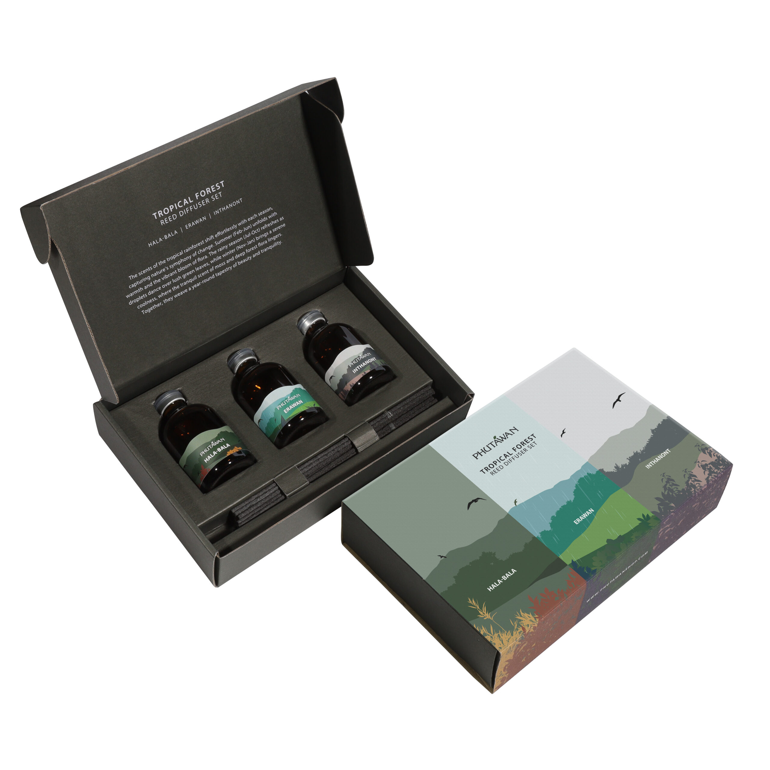 Tropical Forest Reed Diffuser Set